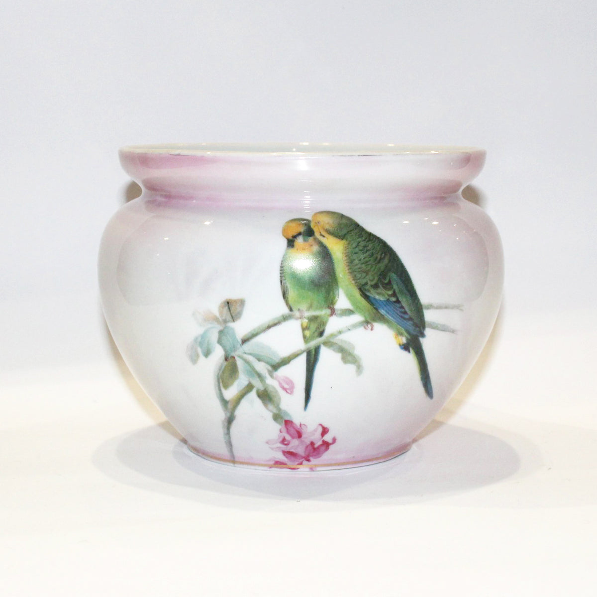 Vintage Bavarian Pink Budgerigar Porcelain Bowl
