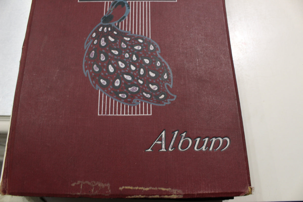 Antique Photograph Album