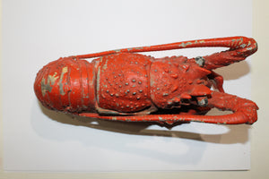 Solid Iron Lobster
