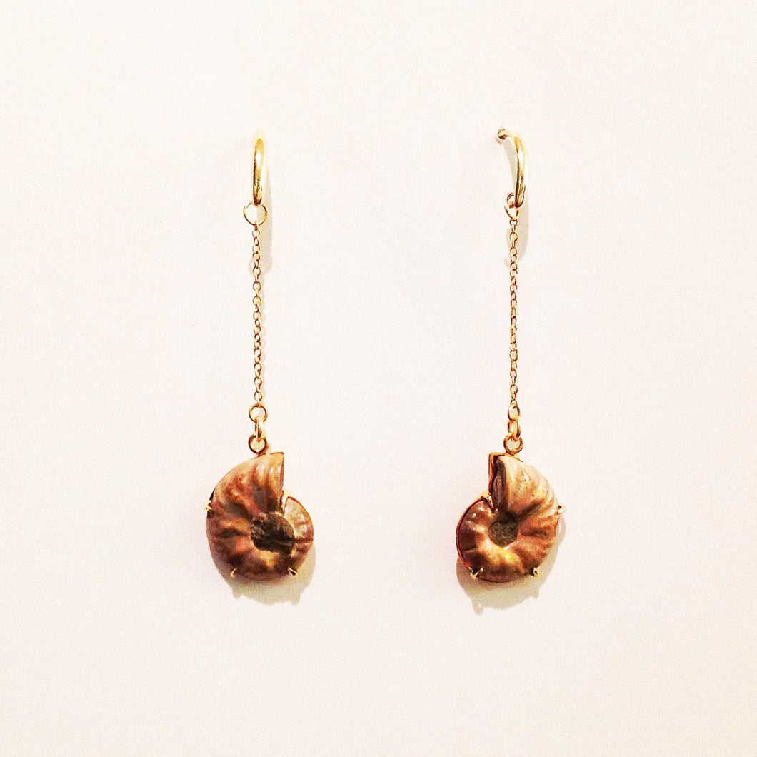 Rainbow Ammonite Fossil Earrings in 9ct Gold