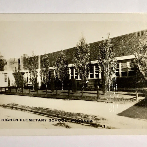 Higher Elementary School Wodonga