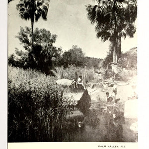 Palm Valley N. T, postcards