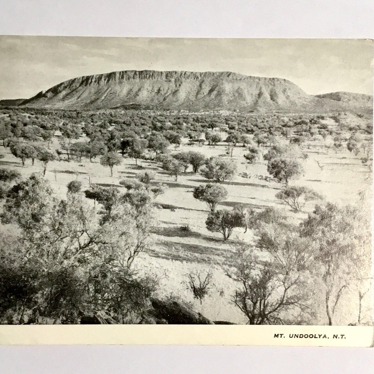 Mt Undoolya N.T.